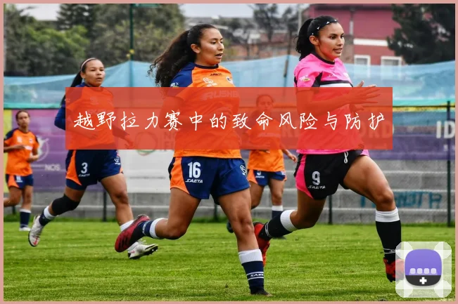 越野拉力赛中的致命风险与防护
