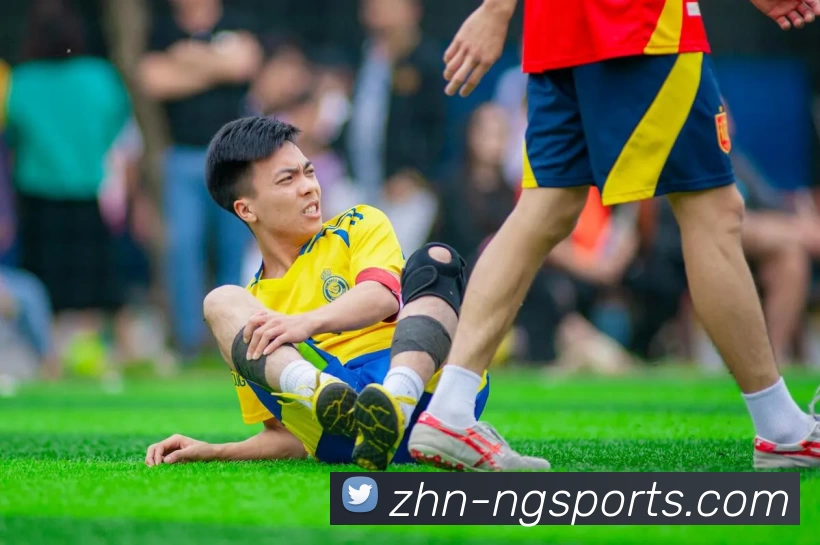 ng体育平台生态图