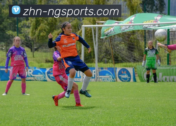 ng体育APP 高清赛事图