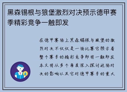 黑森锡根与狼堡激烈对决预示德甲赛季精彩竞争一触即发